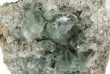 Fluorescent Green Fluorite Cluster - Lady Annabella Mine, England #235369-1